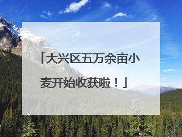 大兴区五万余亩小麦开始收获啦！