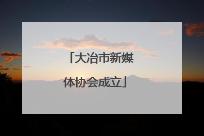 大冶市新媒体协会成立
