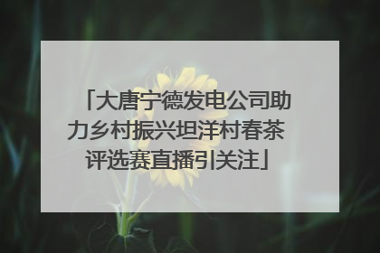 大唐宁德发电公司助力乡村振兴坦洋村春茶评选赛直播引关注