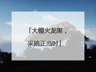大棚火龙果，采摘正当时