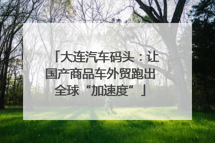 大连汽车码头：让国产商品车外贸跑出全球“加速度”