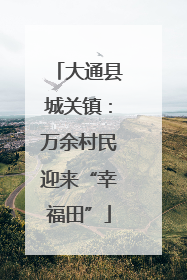 大通县城关镇：万余村民迎来“幸福田”