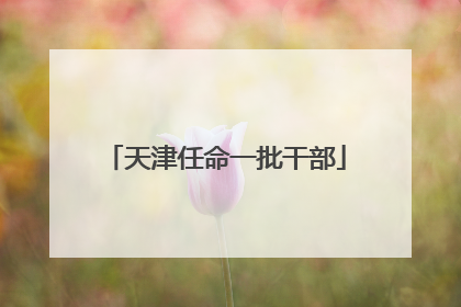 天津任命一批干部