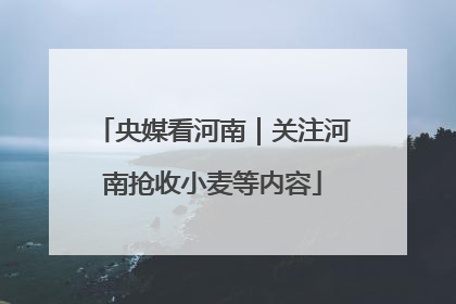 央媒看河南｜关注河南抢收小麦等内容