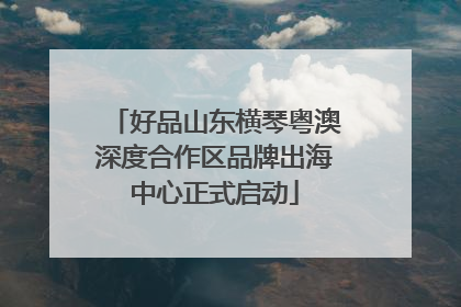 好品山东横琴粤澳深度合作区品牌出海中心正式启动