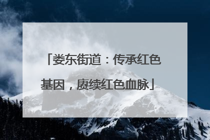 娄东街道：传承红色基因，赓续红色血脉