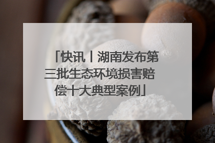 快讯丨湖南发布第三批生态环境损害赔偿十大典型案例