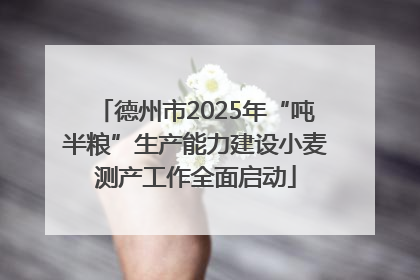 德州市2025年“吨半粮”生产能力建设小麦测产工作全面启动