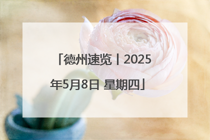 德州速览丨2025年5月8日 星期四