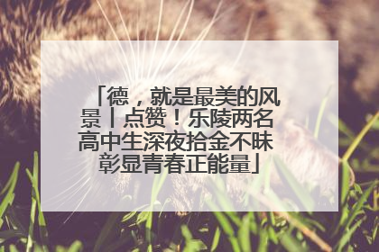 德，就是最美的风景丨点赞！乐陵两名高中生深夜拾金不昧 彰显青春正能量