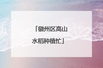 徽州区高山水稻种植忙