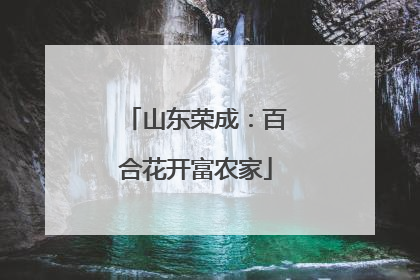山东荣成：百合花开富农家