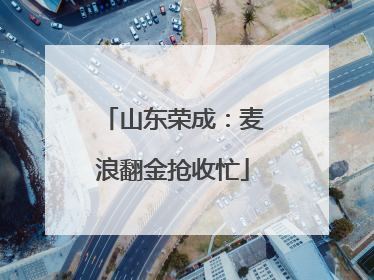 山东荣成：麦浪翻金抢收忙