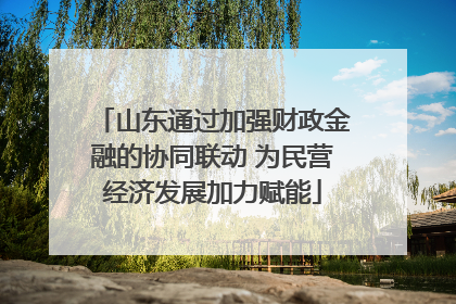山东通过加强财政金融的协同联动 为民营经济发展加力赋能