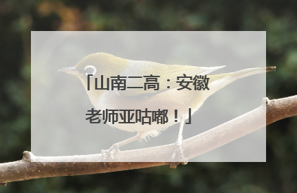 山南二高：安徽老师亚咕嘟！