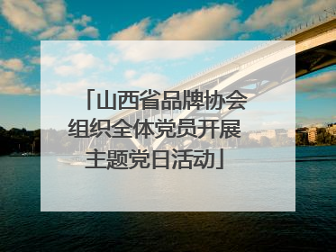 山西省品牌协会组织全体党员开展主题党日活动