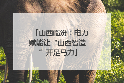 山西临汾：电力赋能让“山西智造”开足马力