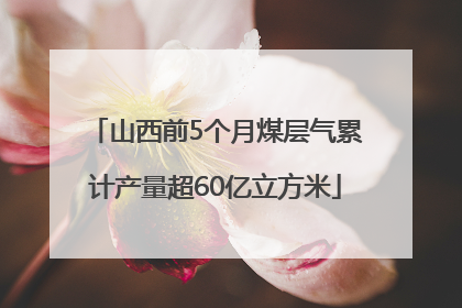山西前5个月煤层气累计产量超60亿立方米