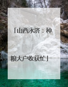 山西永济：种粮大户收获忙