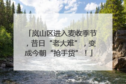 岚山区进入麦收季节，昔日“老大难”，变成今朝“抢手货”！