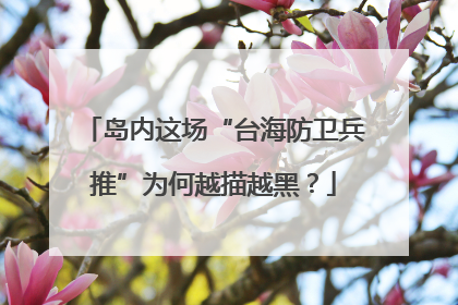岛内这场“台海防卫兵推”为何越描越黑？