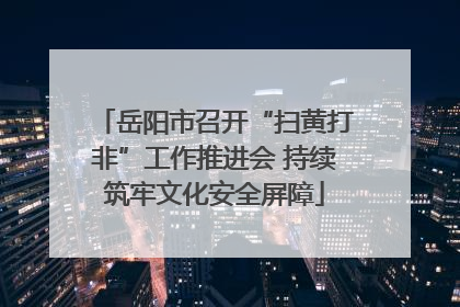 岳阳市召开“扫黄打非”工作推进会 持续筑牢文化安全屏障
