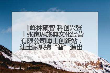 峰林聚智 科创兴张丨张家界旅典文化经营有限公司博士创新站：让土家织锦“智”造出非遗新传奇