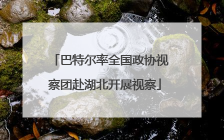 巴特尔率全国政协视察团赴湖北开展视察