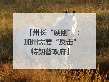 州长“硬刚”：加州需要“反击”特朗普政府
