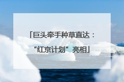 巨头牵手种草直达：“红京计划”亮相