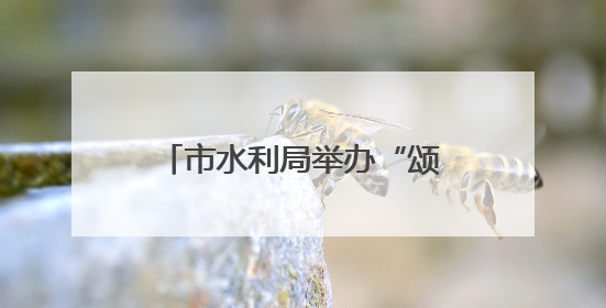 市水利局举办“颂党恩、跟党走、守初心、勇担当”迎“七一”演讲比赛暨“两优一先”表彰活动