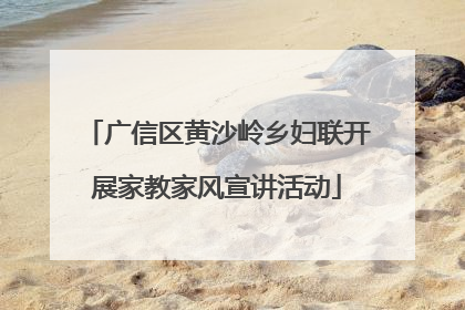 广信区黄沙岭乡妇联开展家教家风宣讲活动