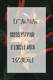 广东与东盟签约7项目累计超31亿美元