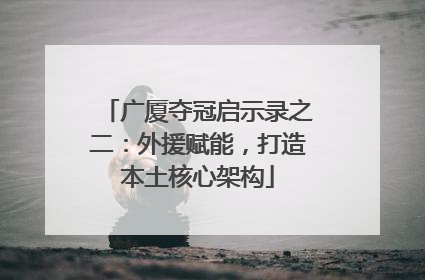 广厦夺冠启示录之二：外援赋能，打造本土核心架构