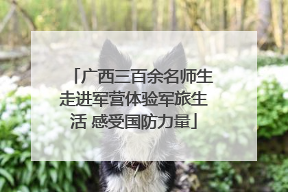 广西三百余名师生走进军营体验军旅生活 感受国防力量