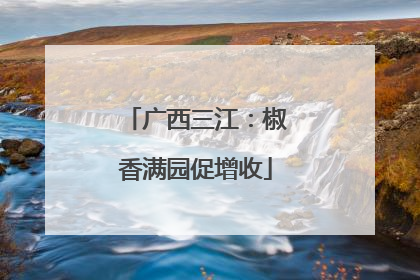 广西三江：椒香满园促增收