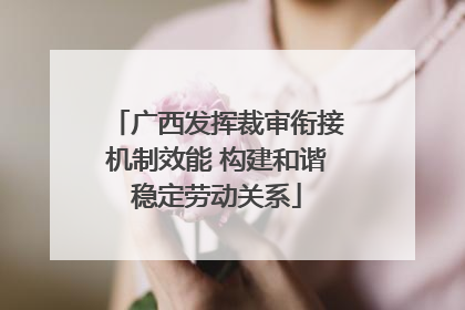 广西发挥裁审衔接机制效能 构建和谐稳定劳动关系