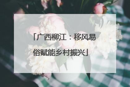 广西柳江：移风易俗赋能乡村振兴