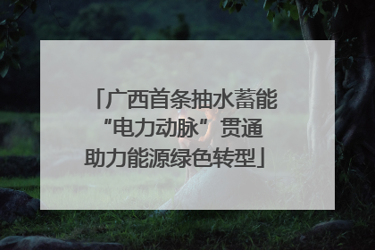 广西首条抽水蓄能“电力动脉”贯通 助力能源绿色转型