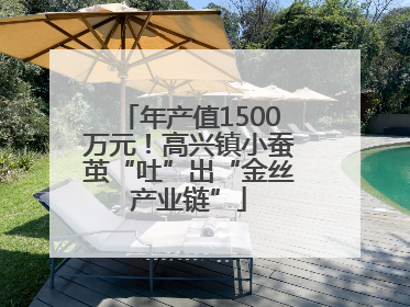 年产值1500万元！高兴镇小蚕茧“吐”出“金丝产业链”