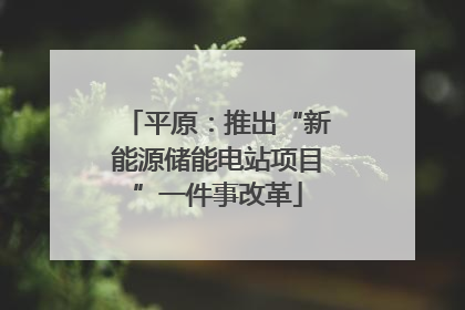 平原：推出“新能源储能电站项目”一件事改革