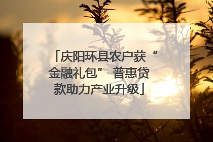 庆阳环县农户获“金融礼包” 普惠贷款助力产业升级