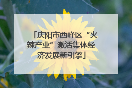 庆阳市西峰区“火辣产业”激活集体经济发展新引擎