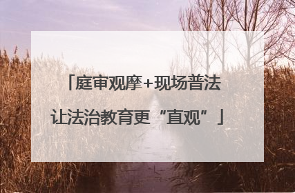 庭审观摩+现场普法 让法治教育更“直观”