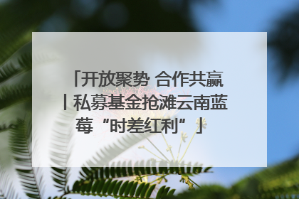 开放聚势 合作共赢丨私募基金抢滩云南蓝莓“时差红利”