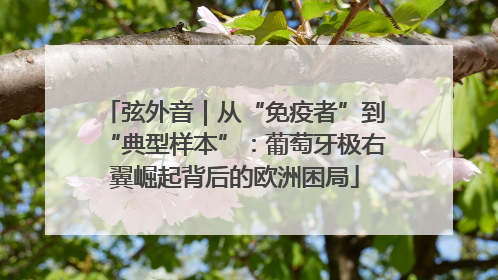 弦外音｜从“免疫者”到“典型样本”：葡萄牙极右翼崛起背后的欧洲困局