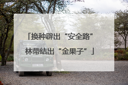 换种辟出“安全路” 林带结出“金果子”