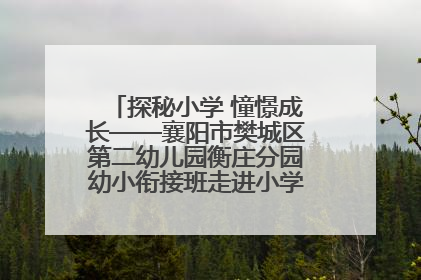 探秘小学 憧憬成长——襄阳市樊城区第二幼儿园衡庄分园幼小衔接班走进小学开展参观体验活动