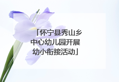 怀宁县秀山乡中心幼儿园开展幼小衔接活动
