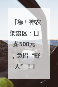 急！神农架景区：日薪500元，急招“野人”！